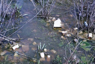 Stagnant water